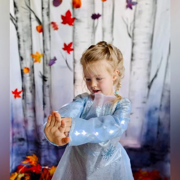 Frozen II backdrop - Picture 3 of 8